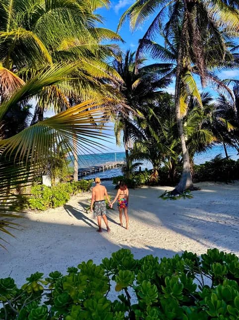 Guests walking across the sand between the palms toward the sea
