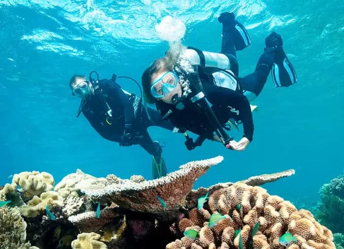 Two scuba divers swimming over coral in clear blue water