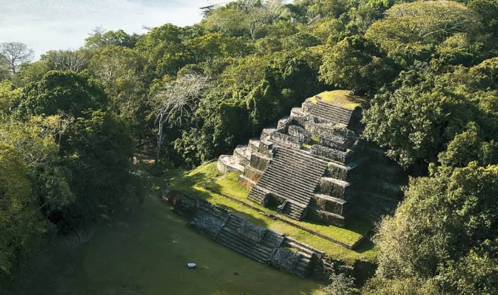 A stepped Maya temple rising from dense green jungle