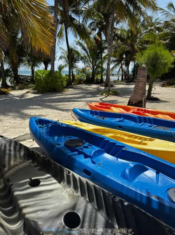 Blue and yellow kayaks lying on the sand beneath the palms